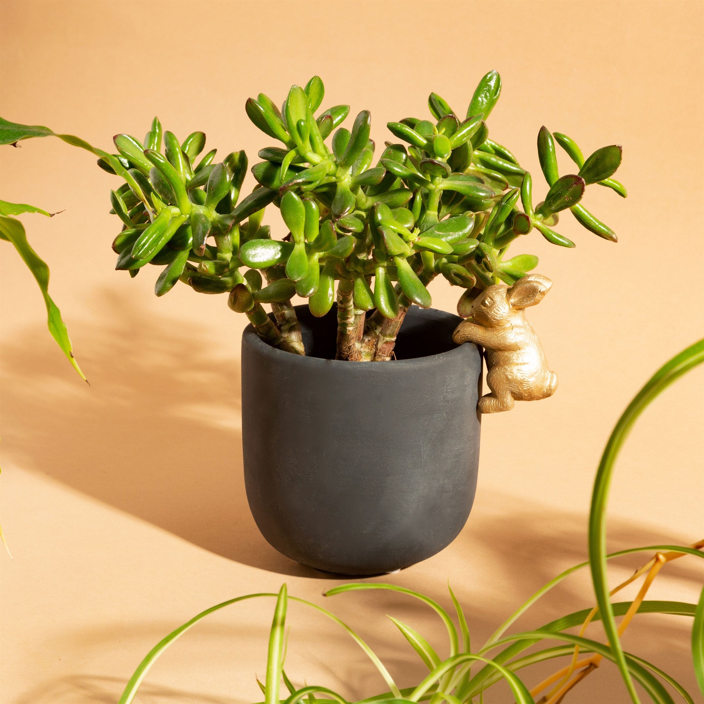 Small Black And Gold Rabbit Planter Cement Matte Finish