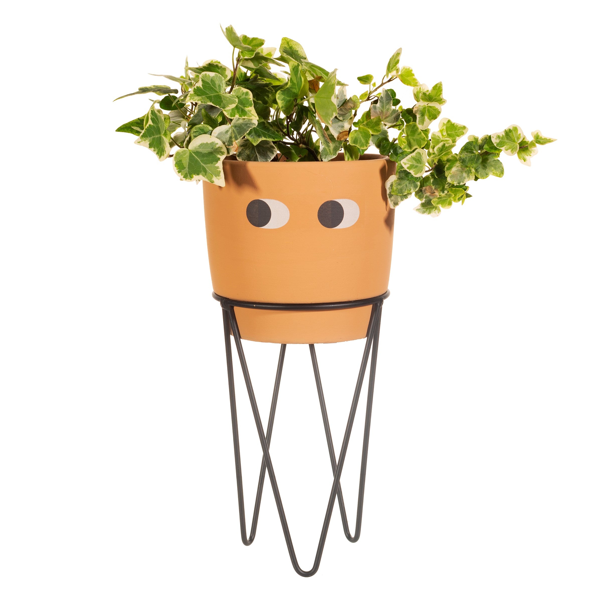 Tall Leggy Planter With Wire Stand Monochrome Terracotta White Finish