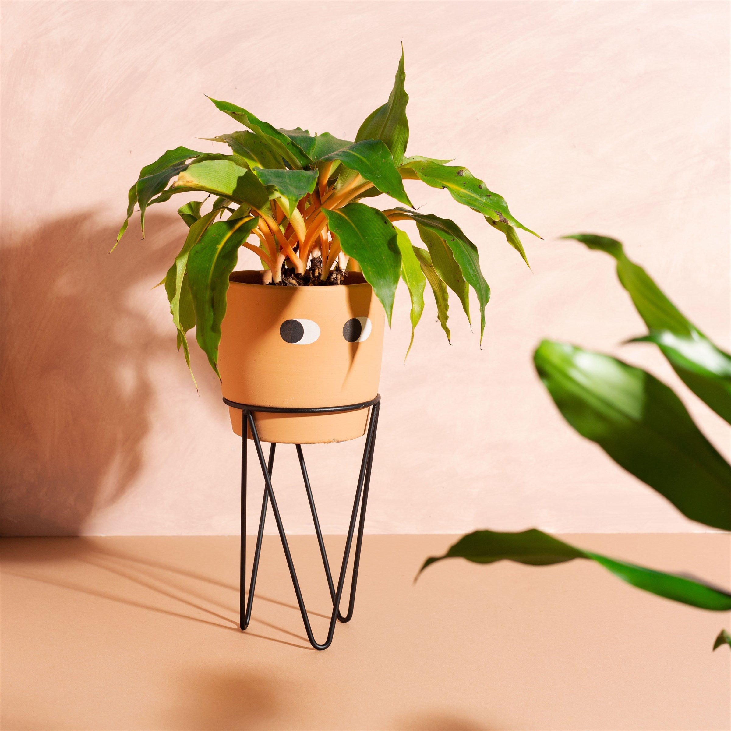 Tall Leggy Planter With Wire Stand Monochrome Terracotta White Finish