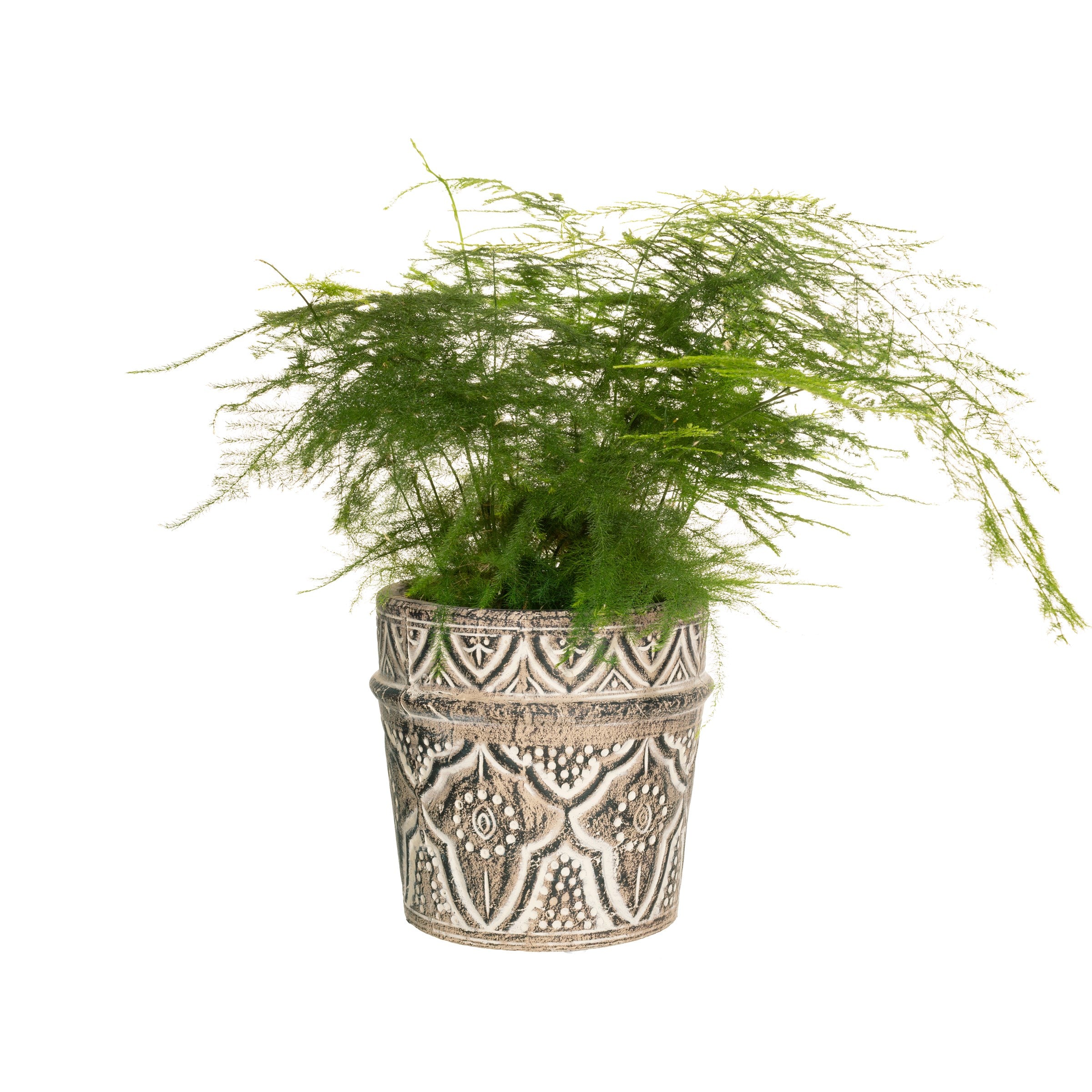 Sass And Belle Amina Planter Concrete Modern Square Indoor Plant Pot
