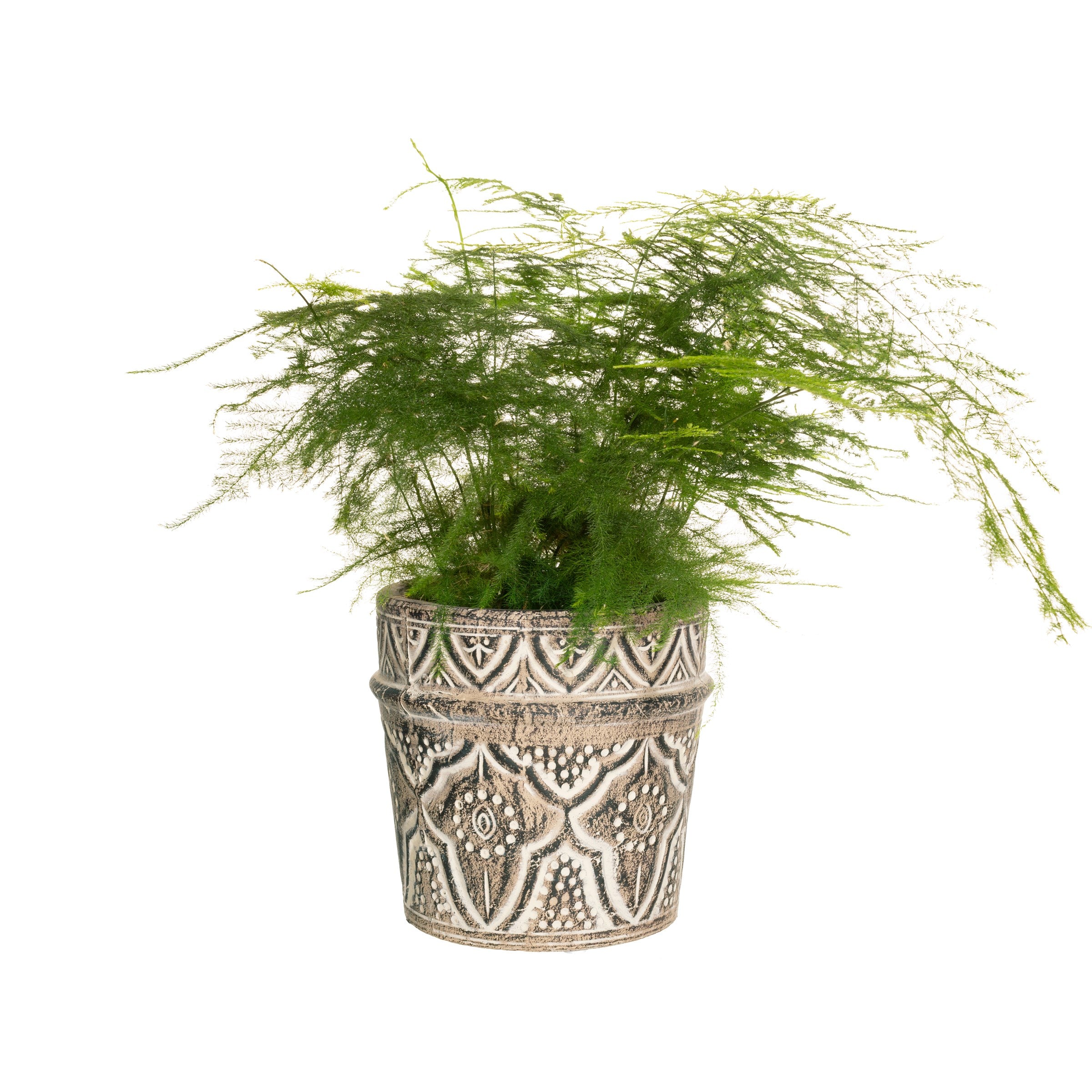 Sass And Belle Amina Planter