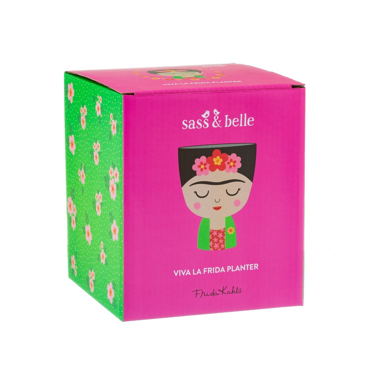 Frida Kahlo Planter Red Mexican Inspired Cactus And Succulent Holder