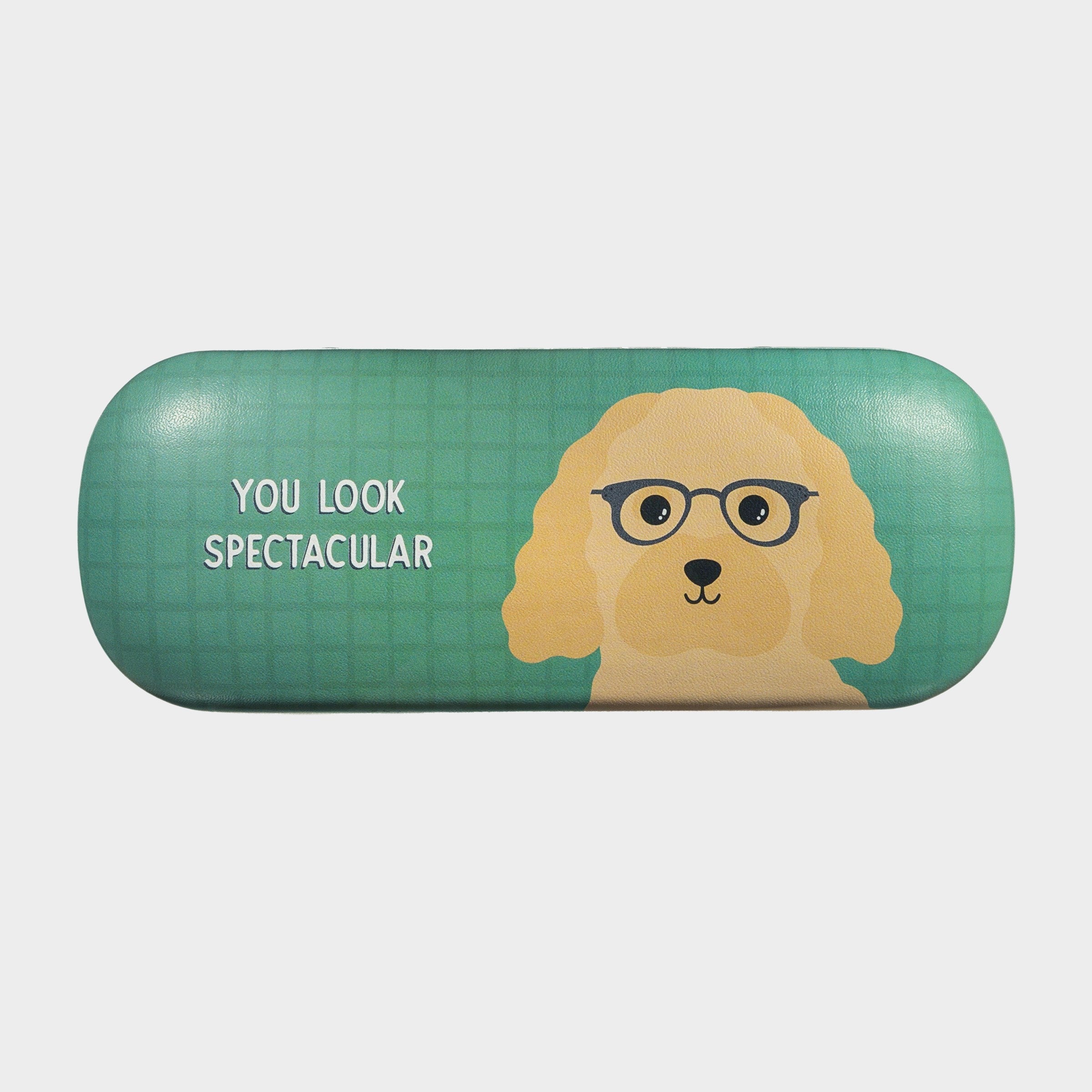 Sass And Belle Cockapoo Glasses Case Turquoise Backdrop You Look Spectacular