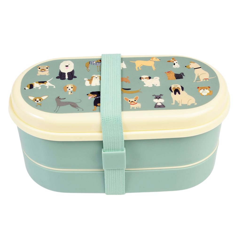 Best In Show Bento Box For Kids With Dual Compartment Design