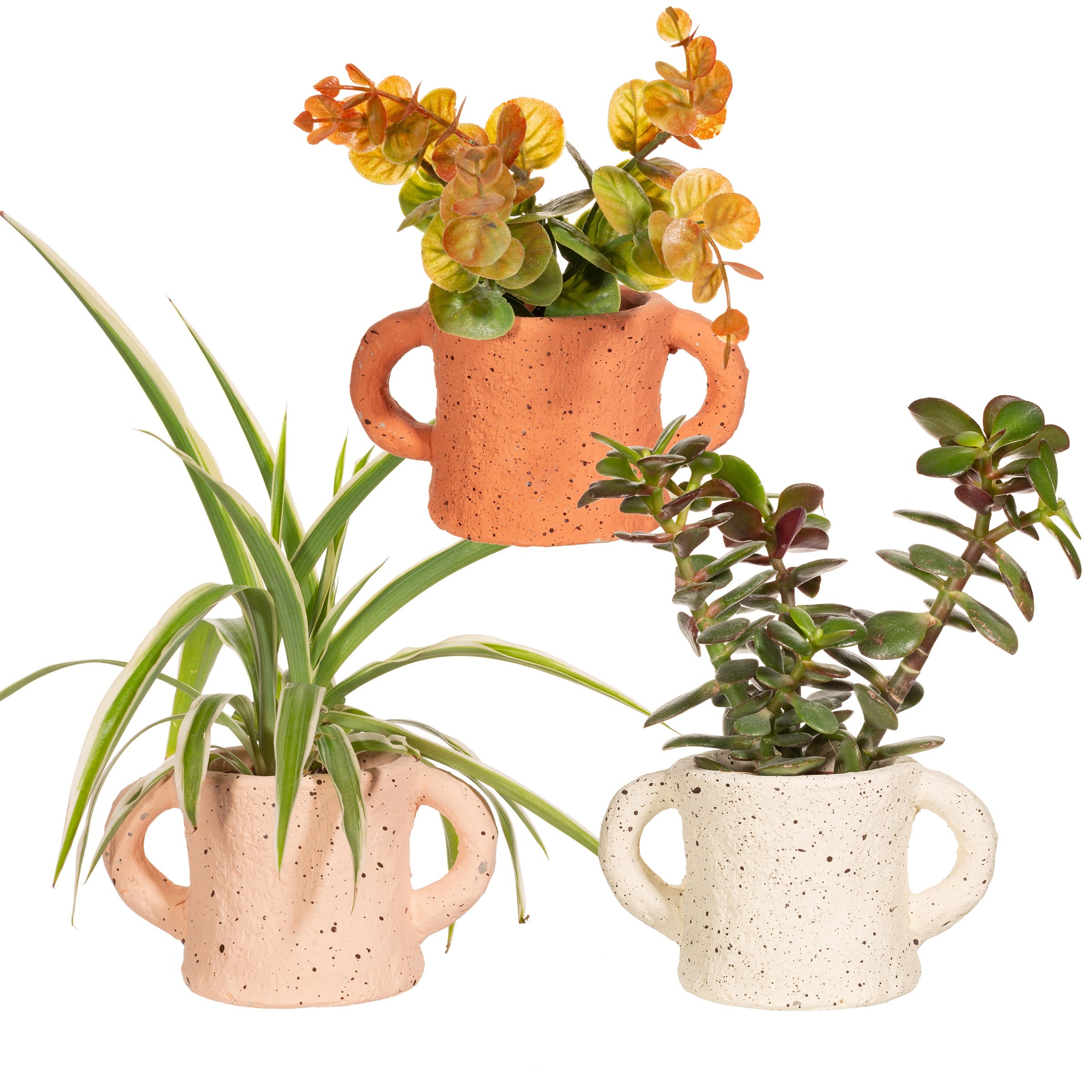 Sass And Belle Mini Handle Planter Terracotta With Rustic Charm