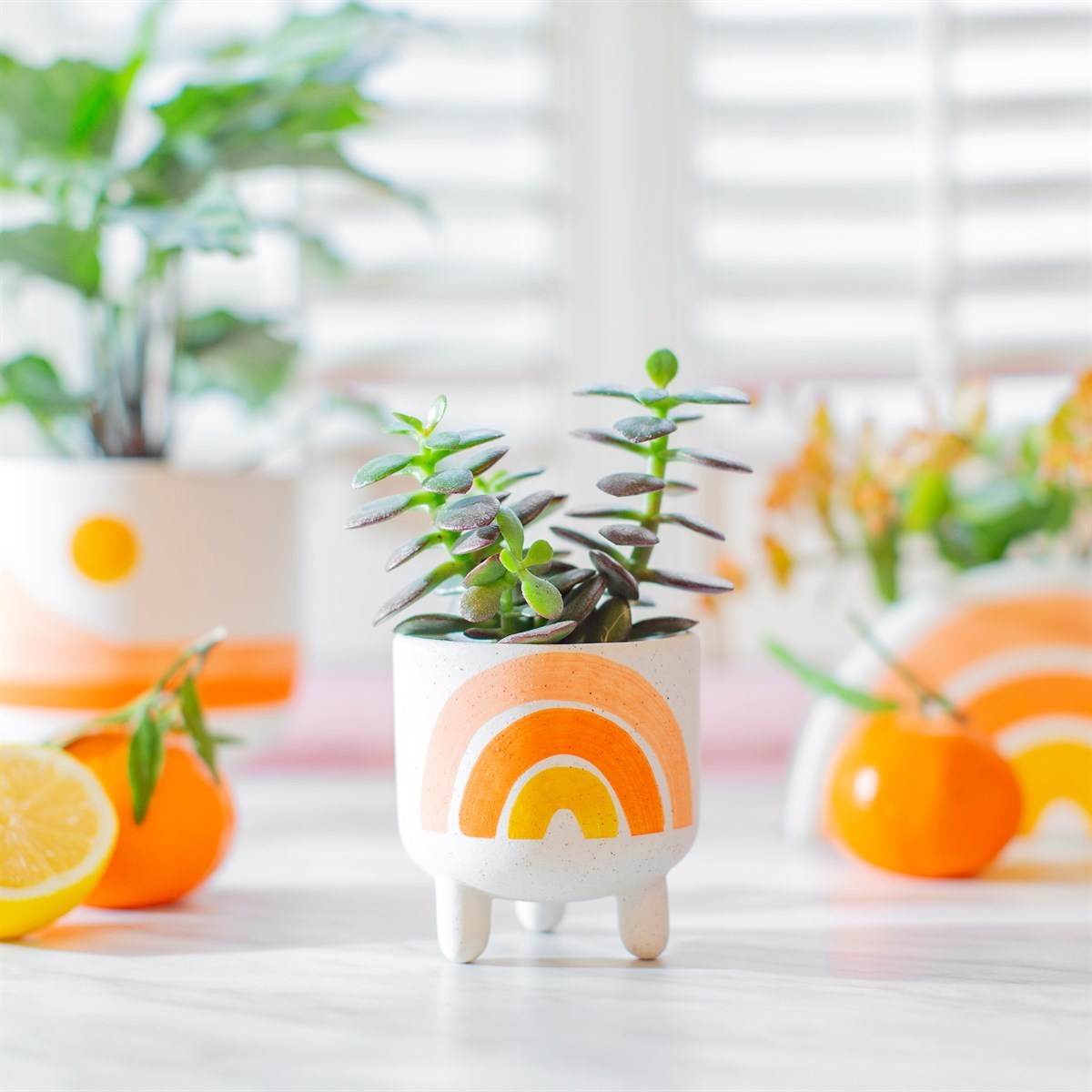 Sass & Belle Rainbow Planter On Legs - Add Colorful Flair to Your Botanicals - Elevate Your Plants&