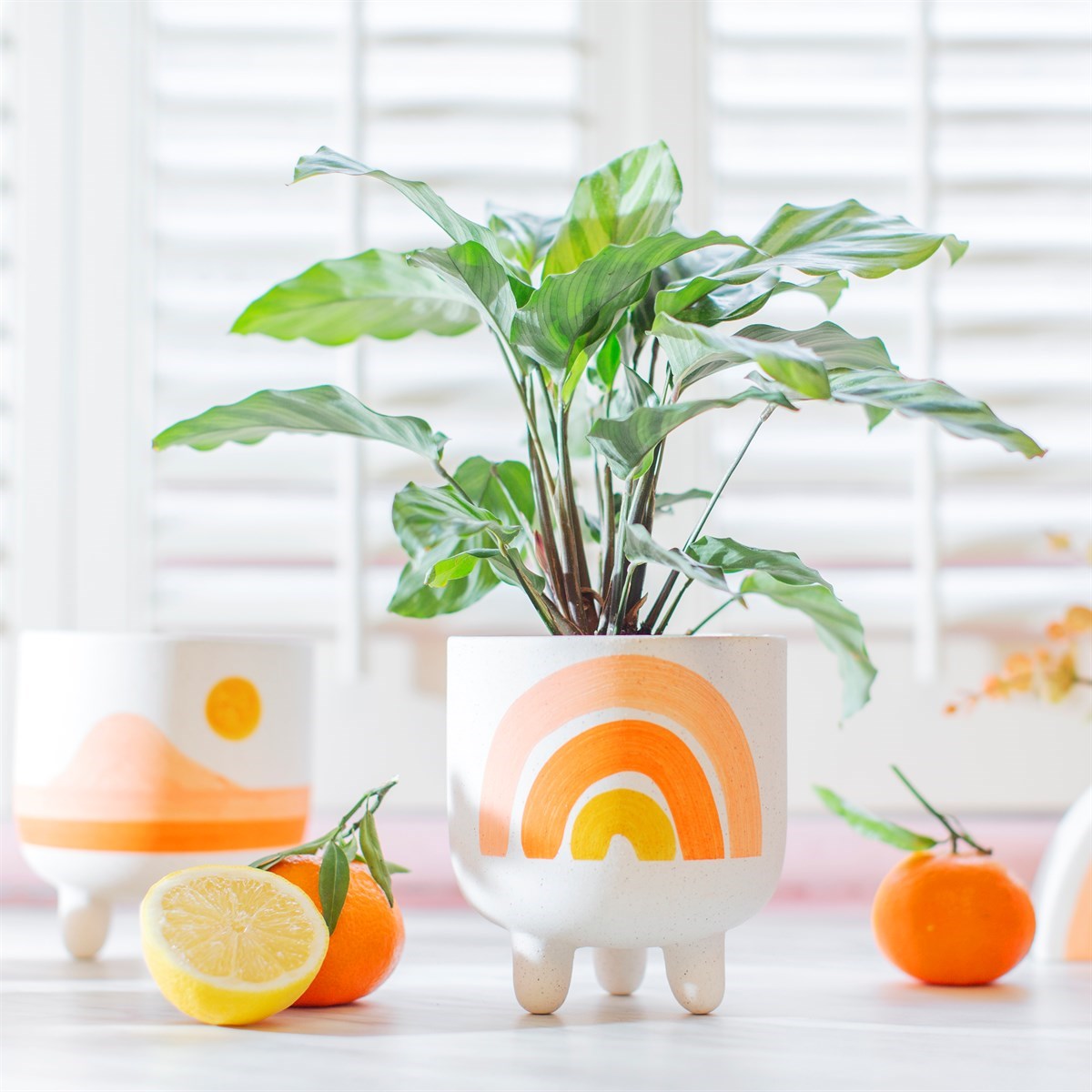 Sass & Belle Rainbow Planter On Legs - Add Colorful Flair to Your Botanicals - Elevate Your Plants&