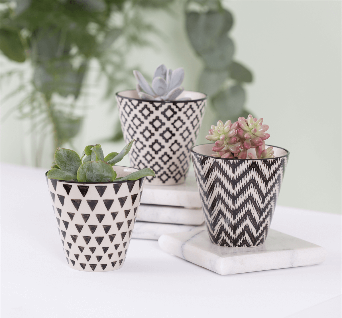 Sass & Belle Mini Black Geo Planters