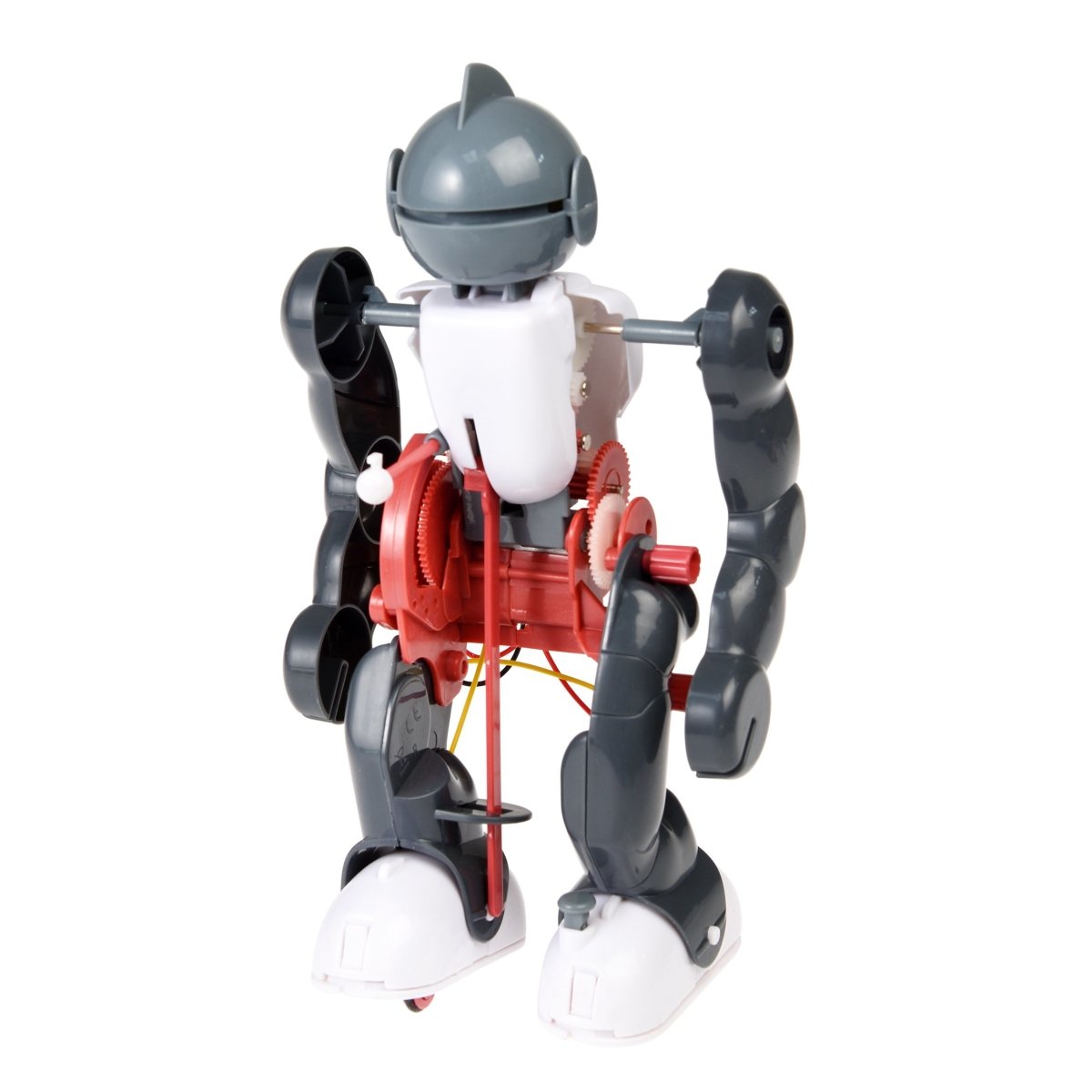 Rex - Build Your Own Tumbling Robot - Toys & Games - mzube - 28957