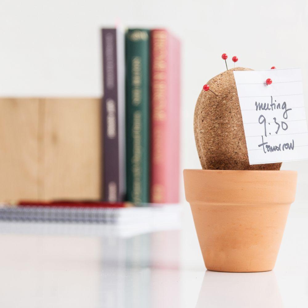 mzube - Cork Cactus Dektop Organiser - Office - mzube - SK CORKCACTUS1