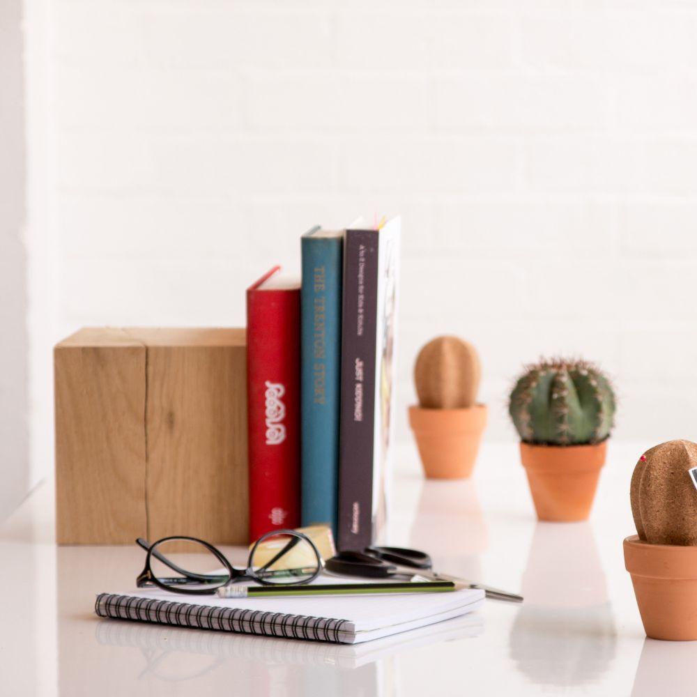 mzube - Cork Cactus Dektop Organiser - Office - mzube - SK CORKCACTUS1