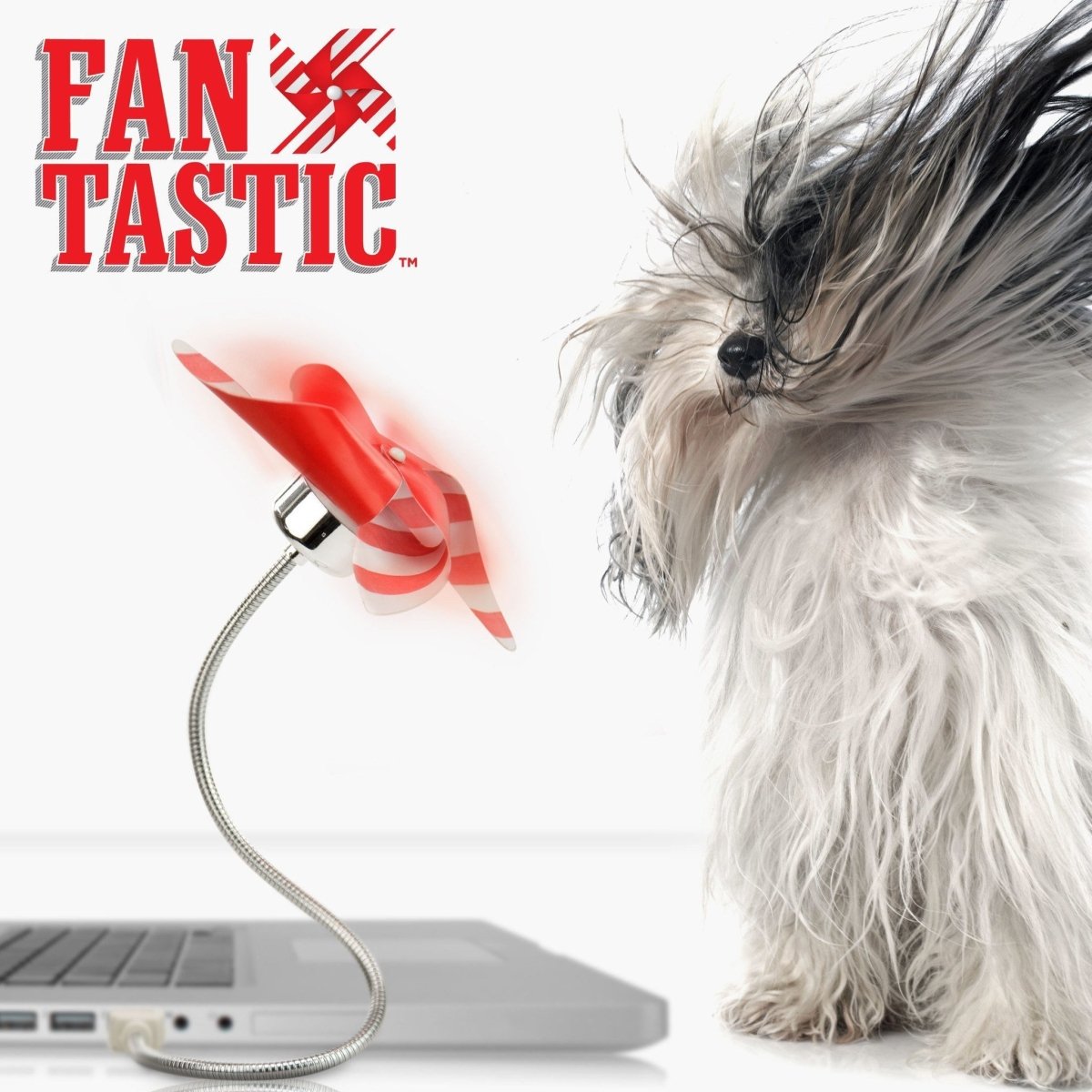 Mustard - Fan-tastic USB Novelty Fan - Toys &amp; Games - mzube - M1103