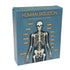 Rex - Make Your Own Glow In The Dark Skeleton - Toys & Games - mzube - 28552