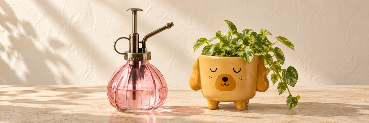 Glass Plant Mister - Pink and Mini Cockapoo Planter on Legs arranged in a warm, softly lit setting.