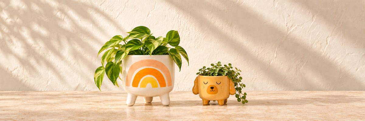 Rainbow Planter on Legs and Mini Cockapoo Planter on Legs arranged in a warm, softly lit setting.