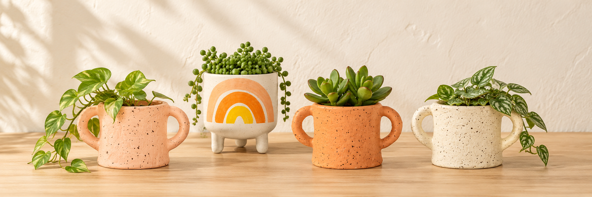 Mini Terracotta Handle Planter and Mini Rainbow Planter On Legs arranged in a warm, softly lit setting.
