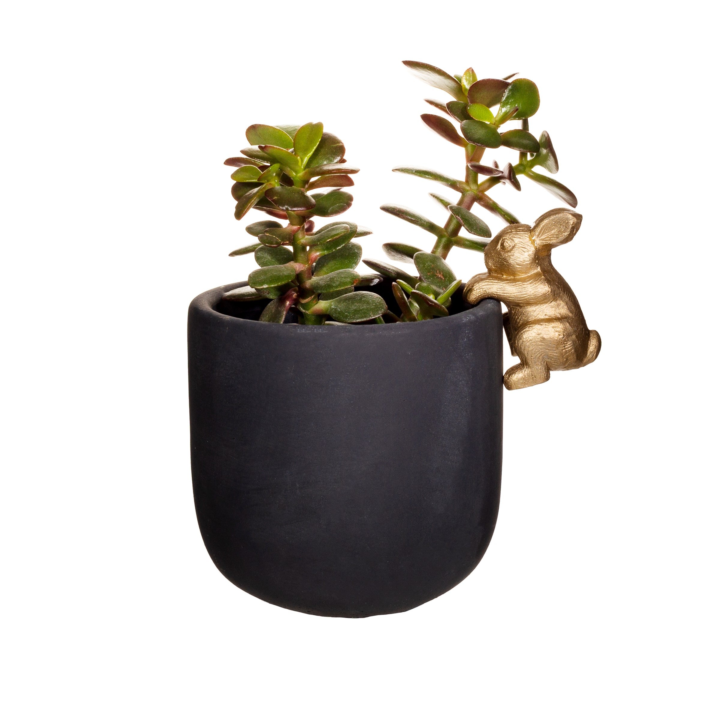Small Black And Gold Rabbit Planter Cement Matte Finish
