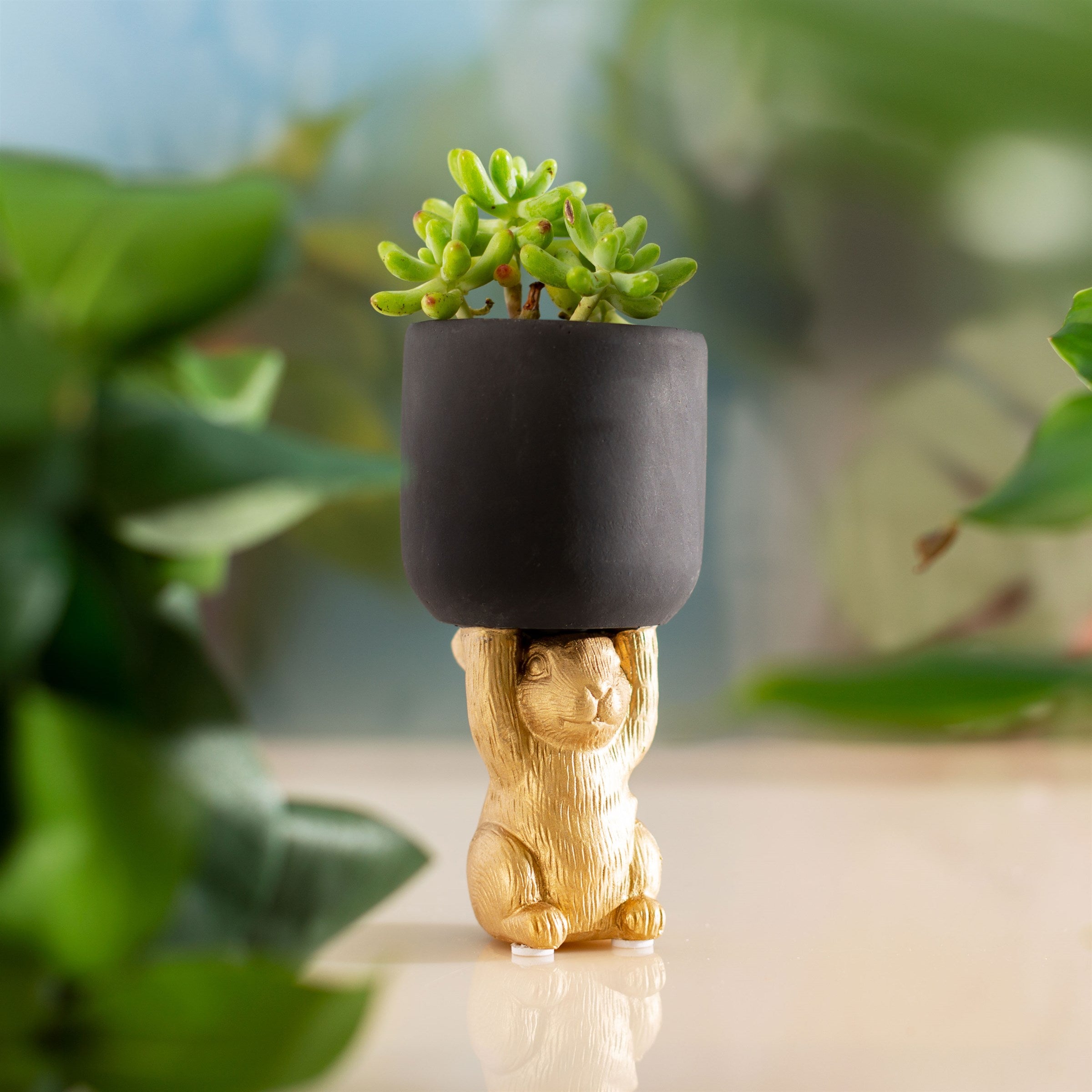 Small Golden Rabbit Pedestal Planter Made From Cement With Black Accents