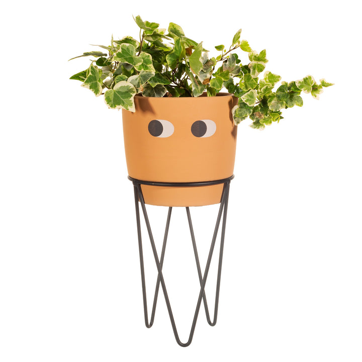 Tall Leggy Planter With Wire Stand