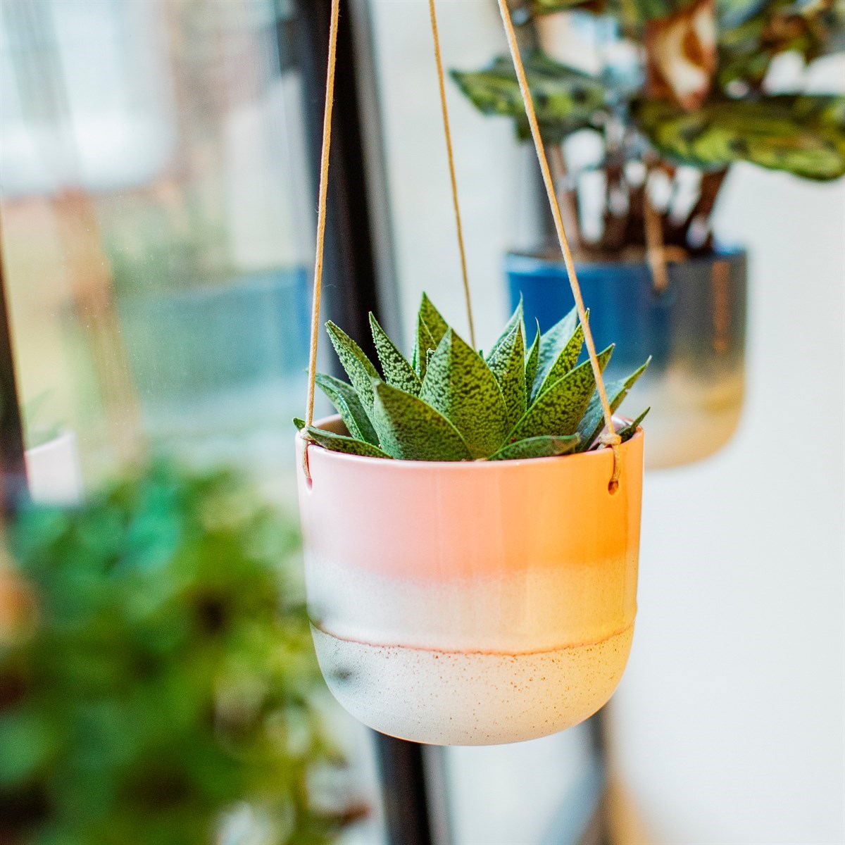 Mojave Glaze Pink Hanging Planter