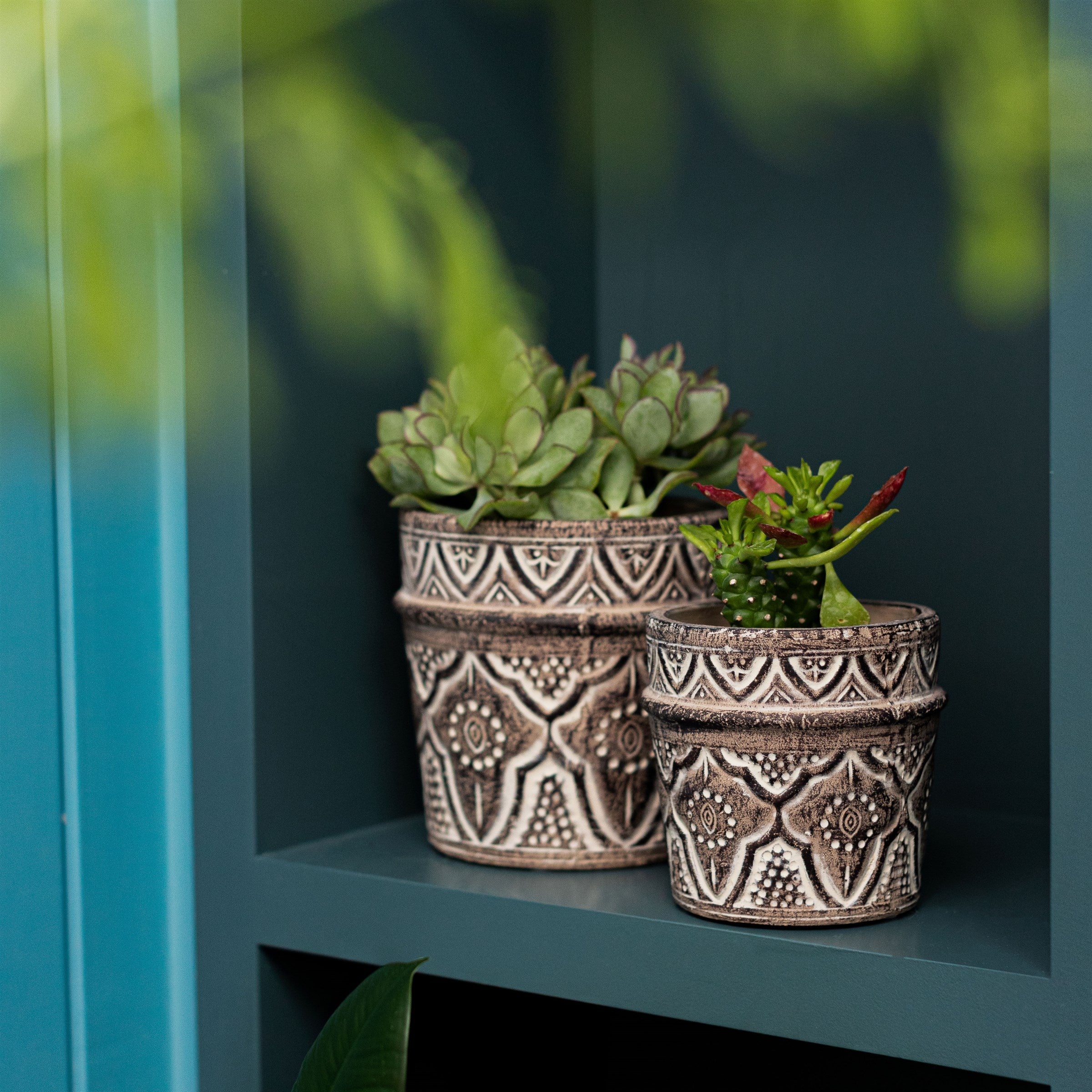 Sass And Belle Amina Planter Concrete Modern Square Indoor Plant Pot