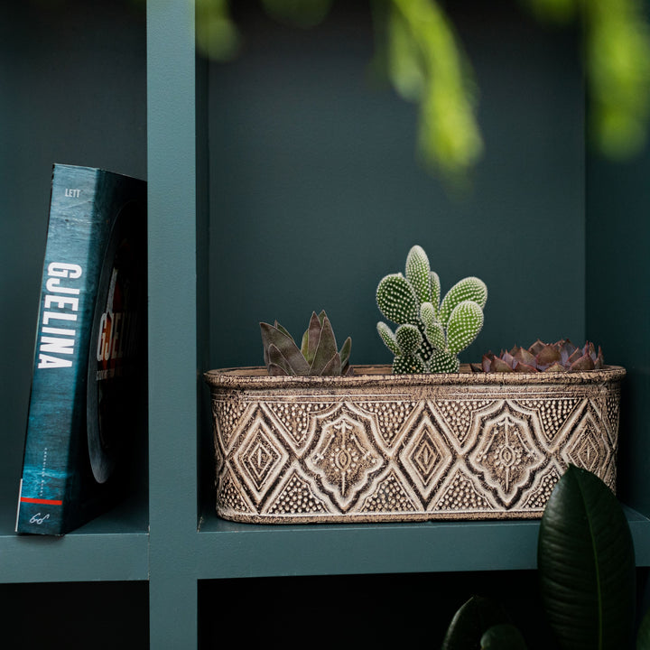 Sass And Belle Amina Trough Planter