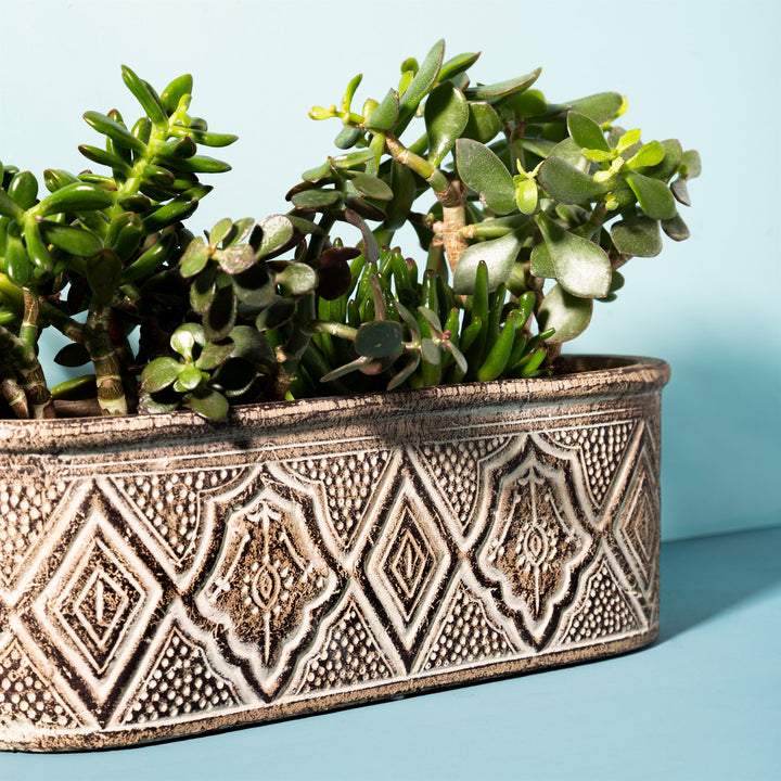Sass And Belle Amina Trough Planter