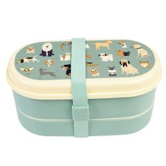 Best In Show Bento Box For Kids With Dual Compartment Design