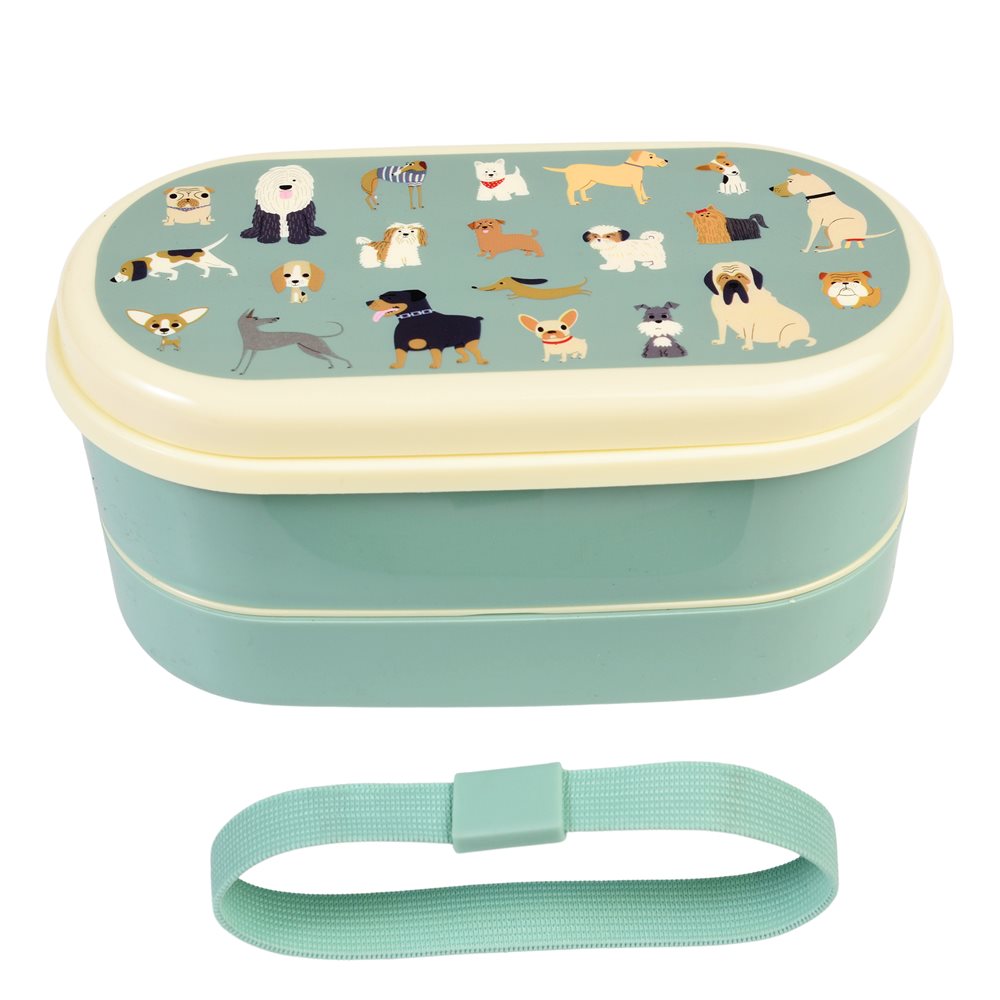 Best In Show Bento Box For Kids With Dual Compartment Design
