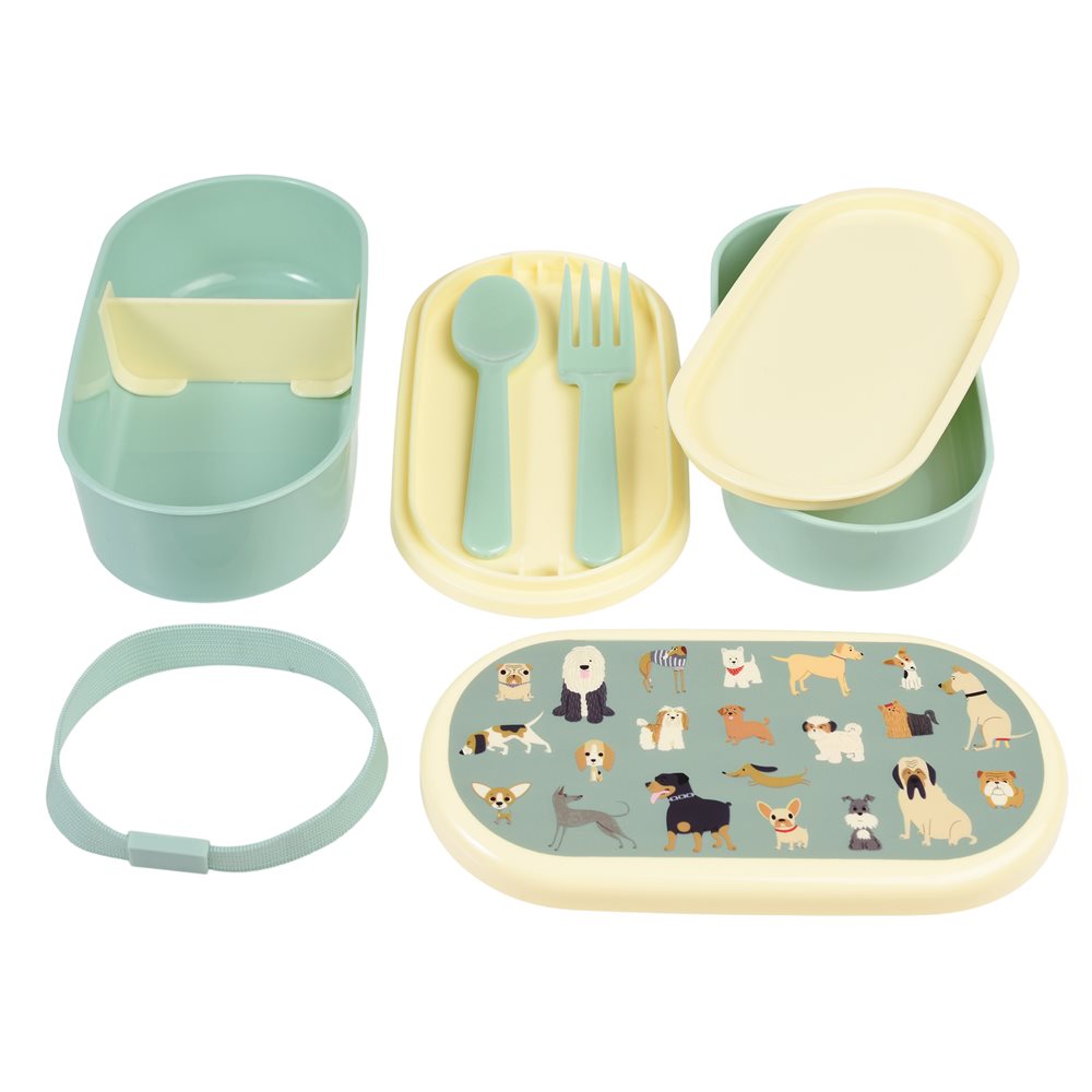 Best In Show Bento Box For Kids With Dual Compartment Design