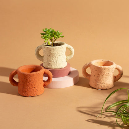 Sass &amp; Belle Mini Handle Planter