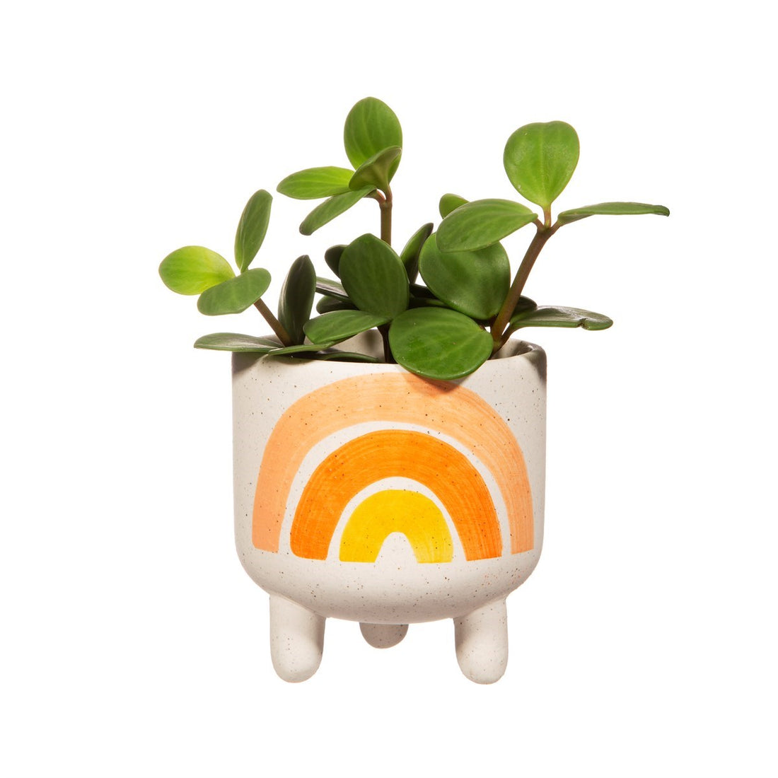 Sass &amp; Belle Rainbow Planter On Legs - Add Colorful Flair to Your Botanicals - Elevate Your Plants&