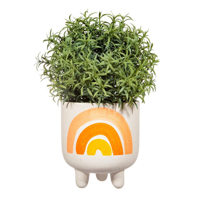 Sass &amp; Belle Rainbow Planter On Legs - Add Colorful Flair to Your Botanicals - Elevate Your Plants&