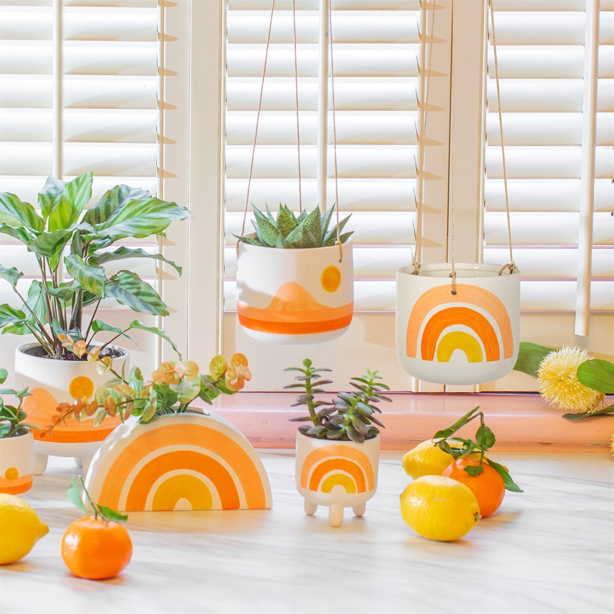 Sass &amp; Belle Rainbow Planter On Legs - Add Colorful Flair to Your Botanicals - Elevate Your Plants&