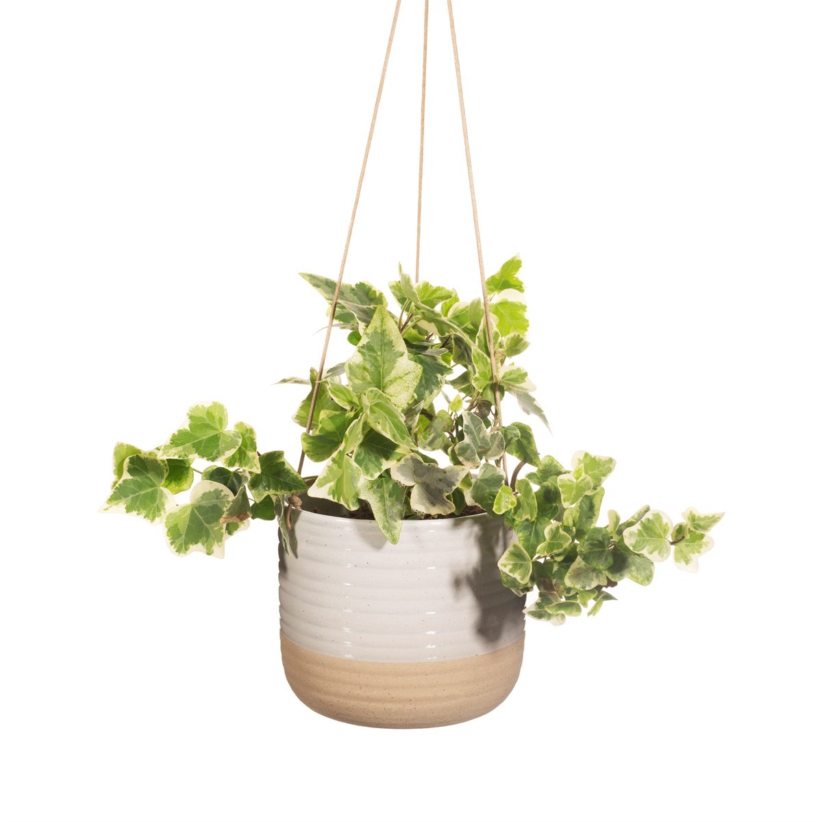 Sass and Belle Rustic White Half Glazed Boho Hanging Planter