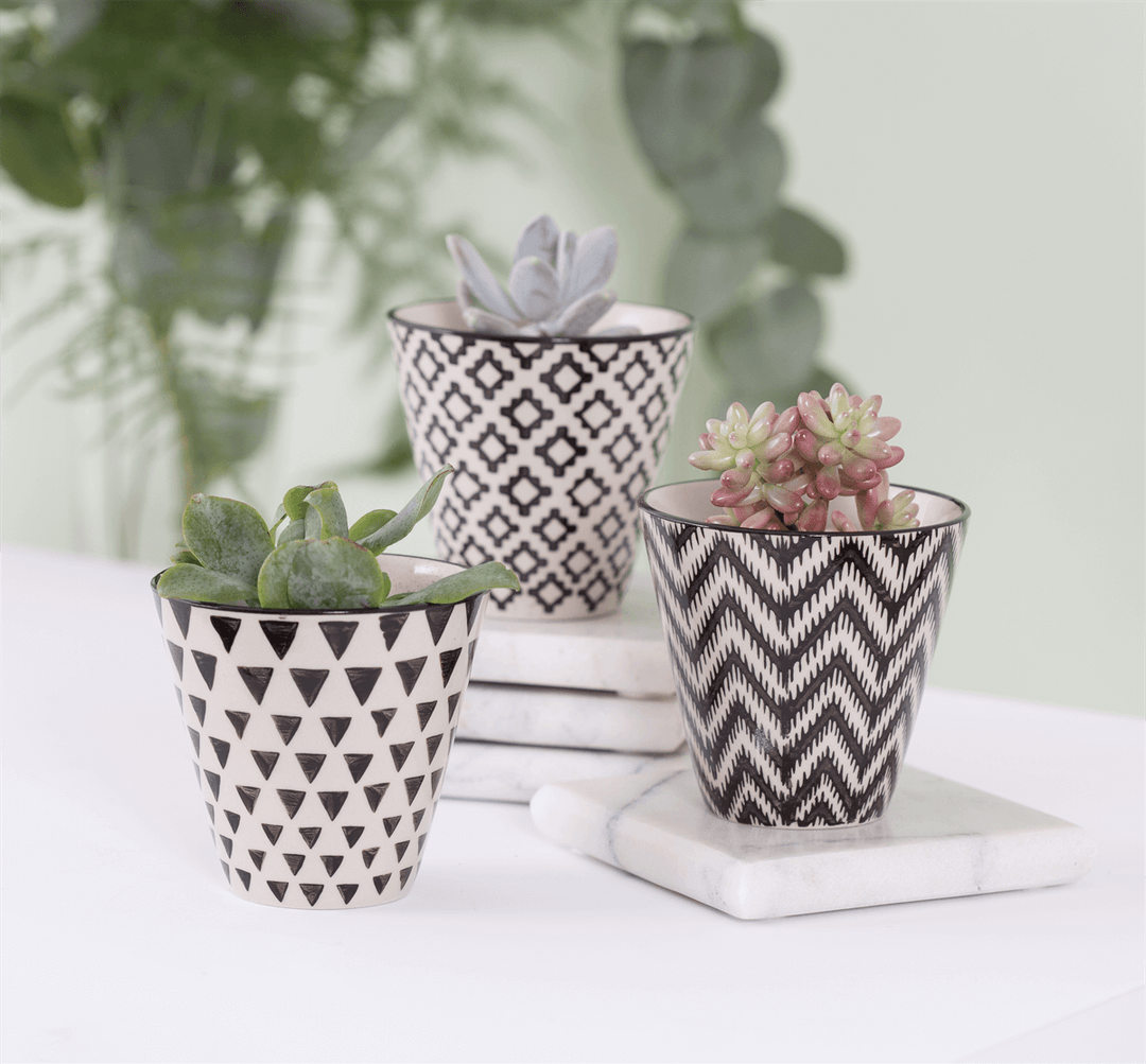 Sass & Belle Mini Black Geo Planters