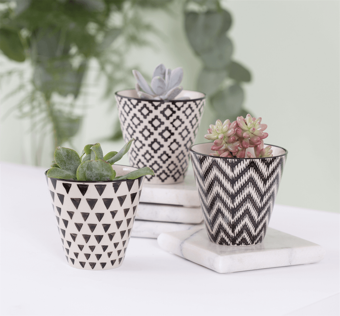 Sass &amp; Belle Mini Black Geo Planters