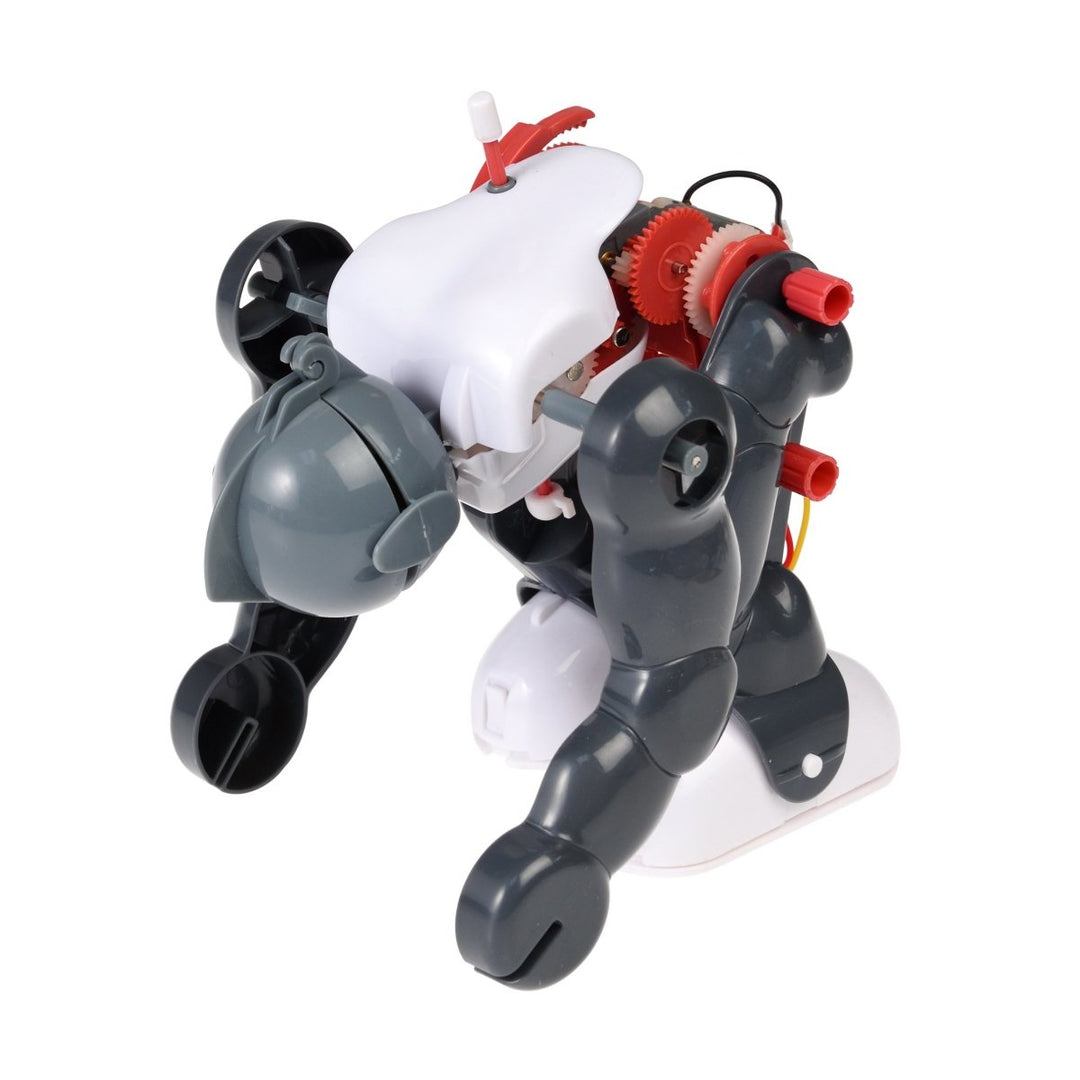 Rex - Build Your Own Tumbling Robot - Toys & Games - mzube - 28957