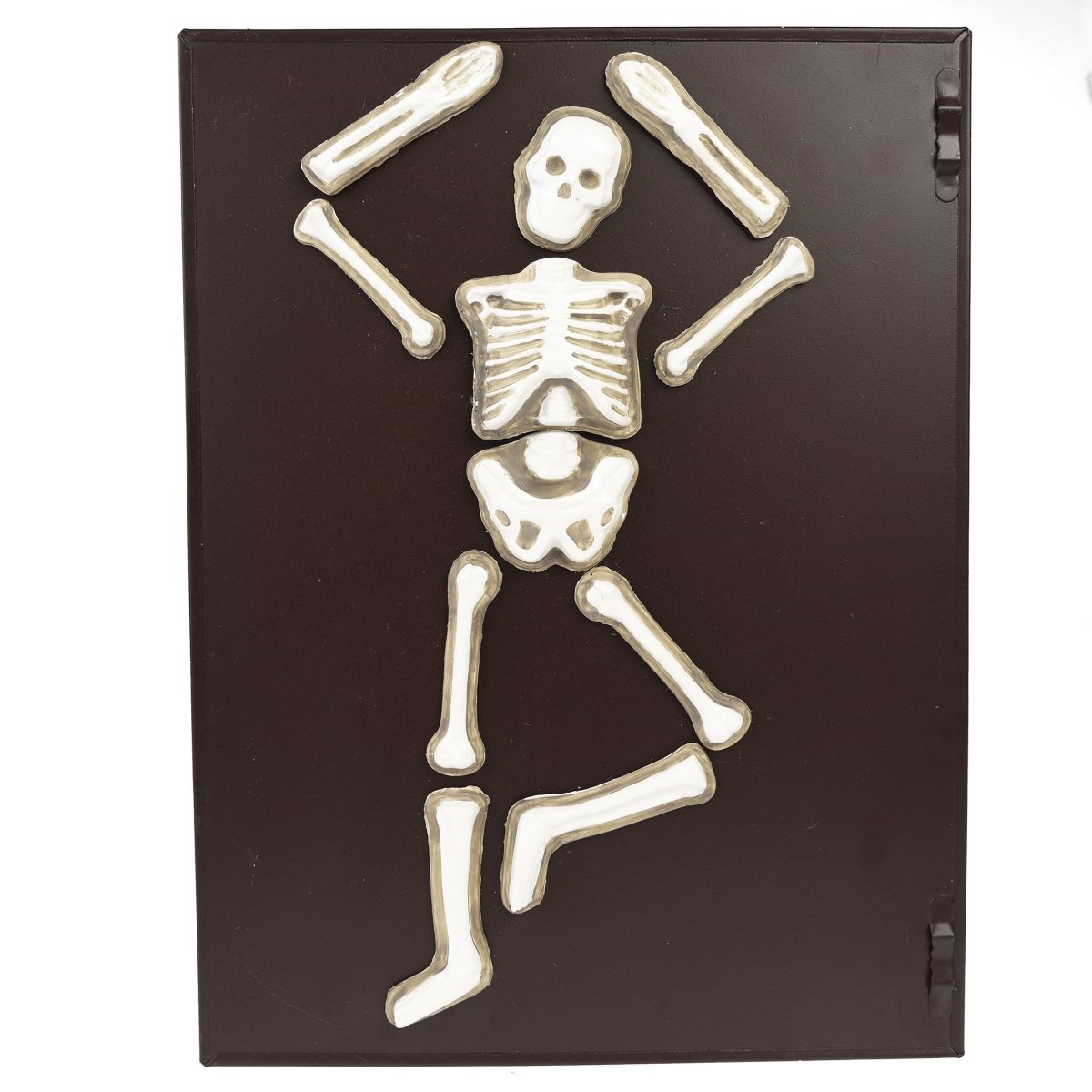 Rex - Make Your Own Glow In The Dark Skeleton - Toys &amp; Games - mzube - 28552