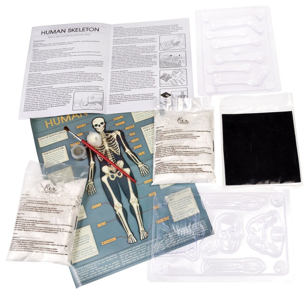 Rex - Make Your Own Glow In The Dark Skeleton - Toys & Games - mzube - 28552